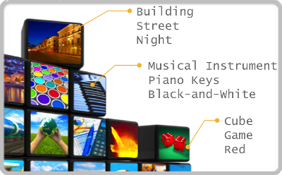 Data Labeling Service