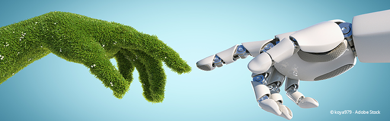 Benefits of artificial intelligence for the environment – Clickworker